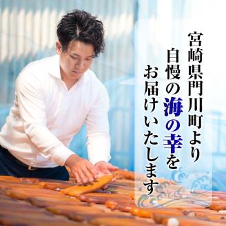 「宮崎からすみ寒」プレミアムブロック(計60g・20g×3袋)カラスミ 魚卵  珍味 つまみ 唐墨 珍味 酒の肴 ボラ ぼら 化粧箱 宮崎県 門川町【AW-31】【丸正水産】