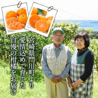 温州みかん興津早生≪おきつわせ≫(約5kg) ミカン 蜜柑 柑橘 果物 数量限定 期間限定 国産 フルーツ 常温 保存 宮崎県 門川町 遠見半島 【AE-23】【勝農園】