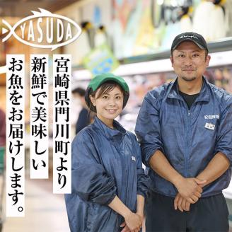 朝獲れ鮮魚で作る！魚屋さんの自家製ソフト干物！(合計2kg以上・15~25枚・3~5種類入り)アジ イワシ カマス イカ タイ ブリカマ セット 詰め合わせ ひもの 焼き魚 おかず お惣菜【YS-3】【株式会社安田】