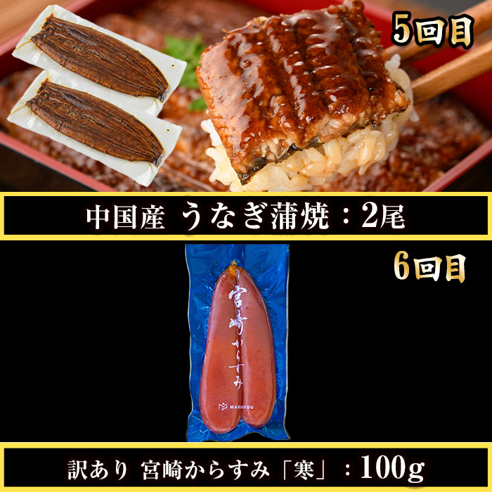 ＜定期便・全6回(連続)＞さかなのまち 門川 こだわり 定期便 (特大 あじ 開き・味付け すりみ 2種・宮崎牛 入り ハンバーグ・骨取り 肉厚 サバ切身・中国産 うなぎ 蒲焼・訳あり からすみ)アジ さば おかず 惣菜 骨とり 宮崎県 門川町【AW-65】【丸正水産】