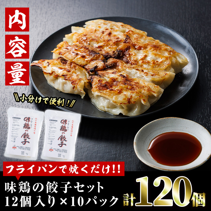 鶏の本場の老舗鶏屋が作る味鶏の餃子セット (計120個・1Pあたり12個入・柚子胡椒30g付き！) 鶏餃子 餃子 鶏肉 ぎょうざ おかず お惣菜 おつまみ 冷凍【V-72】【味鶏フーズ】