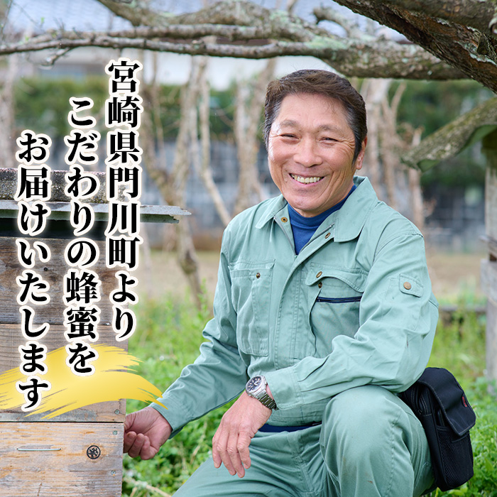 ＜数量限定＞幻の蜂蜜（1本・260g） ハチミツ 蜂蜜 日本蜜蜂 ハニー 国産 日本ミツバチ 非加熱 純粋 【YH-1】【安田蜂蜜】