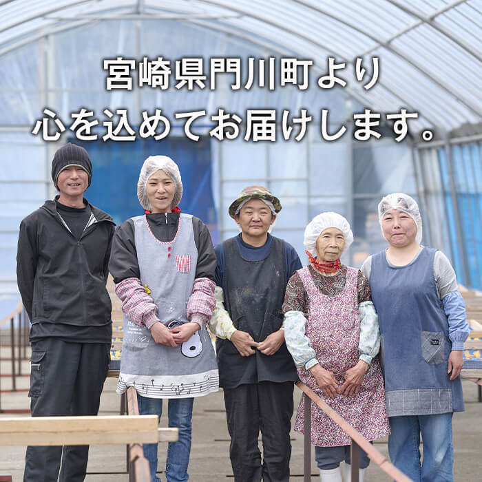 おやつ芋 安納芋 冷凍 焼き芋(計12個・3個入り×4袋) 焼芋 やきいも さつまいも さつま芋 レンジ 安納芋 小分け おやつ 【YO-10】【株式会社陽】