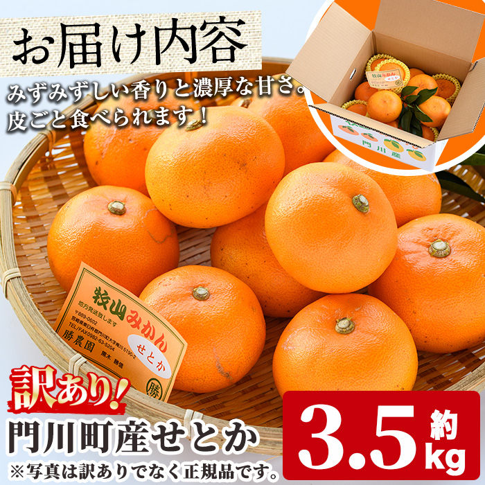 ＜訳あり！＞宮崎県門川町産せとか(約3.5kg)柑橘 果物 数量限定 期間限定 国産 フルーツ 常温保存 遠見半島 宮崎県 門川町【AE-24】【勝農園】