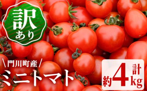 訳あり・規格外！数量限定の門川町産ミニトマト(計約4kg)フルーツトマト とまと 野菜 キャロルパッション 小鈴プレミアムルビー アイコ ミックス 生 旬野菜 冷蔵【X-11】【いけとも農園】
