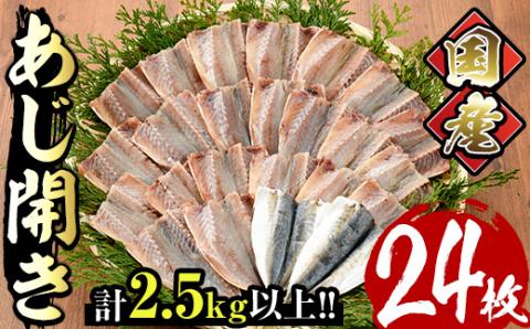 国産あじ開き(24枚・計2.5kg以上)干物 鯵 セット 魚 魚介類 簡単 調理 冷凍【E-18】【水永水産】