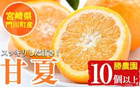＜先行予約受付中！2026年3月下旬～5月末の間に発送予定＞宮崎県門川町産甘夏(10個以上) 柑橘 果物 数量限定 期間限定 国産 フルーツ 常温 保存 遠見半島 【AE-21】【勝農園】