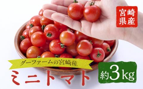 ＜先行予約受付中！2025年12月から順次発送予定＞＜期間限定＞ ミニトマト(約3kg) ミニトマト(約3kg)野菜 とまと フルーツトマト サマー千果 アイコ サラダ 【GF-2】【グーファーム】
