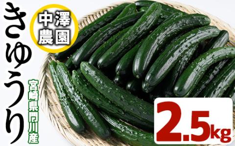 宮崎県産きゅうり(2.5kg)野菜 やさい サラダ 胡瓜 漬物 キムチ 冷蔵【NS-2】【中澤農園】