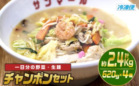 チャンポンセット(計約2.4kg・620g×4個)ちゃんぽん 麺 スープ 野菜 具沢山 冷凍 国産 小分け おかず 惣菜 簡単調理【TG-3】【サンクスギビング】