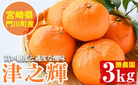 ＜先行予約受付中！2026年1月中旬～4月末の間に発送予定＞宮崎県門川町産津之輝(約3kg) みかん ミカン 蜜柑 柑橘 果物 くだもの フルーツ 冷蔵 宮崎県 門川町 【AE-14】【勝農園】