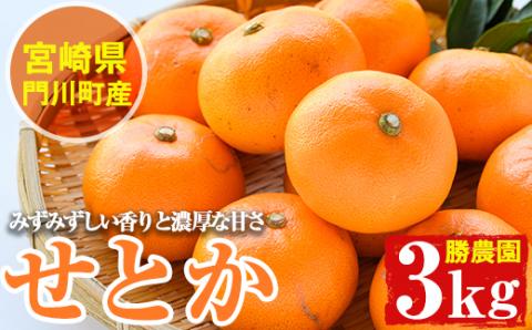 ＜先行予約受付中！2026年2月下旬～4月末発送予定＞宮崎県門川町産せとか(約3kg) 柑橘 果物 数量限定 期間限定 国産 フルーツ 常温保存 遠見半島 宮崎県 門川町 【AE-18】【勝農園】