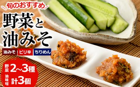 野菜と油みそのセット(旬の野菜2～3種×油みそ3種(ちりめん・油みそ・ピリ辛)各1個)野菜 調味料 味噌 おつまみ トッピング 冷蔵【G-7】【旬鮮かどがわ直売センター】