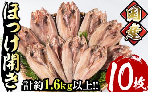 国産ほっけ開き(10枚・計1.6kg以上)干物 セット 魚 魚介類 簡単 調理 冷凍【E-17】【水永水産】