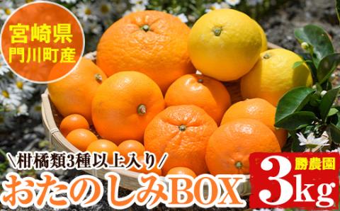 ＜先行予約受付中！2026年2月中旬～5月上旬の間に発送予定＞柑橘類おたのしみBOX(約3kg・3種類以上) 柑橘 果物 数量限定 期間限定 国産 フルーツ 詰め合わせ セット 遠見半島 宮崎県 門川町 【AE-22】【勝農園】