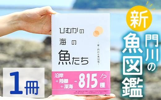 新・門川の魚図鑑(1冊)お魚 知育 学習 本 書籍【AI-3】【門川町地域振興課】