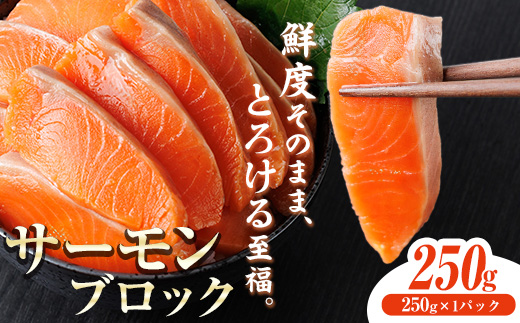 生食用 サーモン ブロック(250g×1P) 鮭 小分け 真空 パック 冷凍 刺身 シャケ サケ 魚 魚介 【AW-97】【丸正水産】