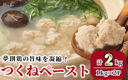 つくねペースト(計2kg)鶏肉 鳥肉 とりにく ペースト 惣菜 弁当 おかず つくね 冷凍【C-31】【株式会社 英楽】