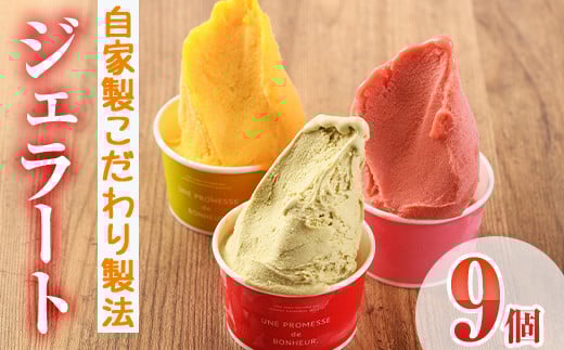 【I-2】＜先行予約受付中！2026年1月から順次発送予定＞自家製こだわり製法！自家製ジェラート(9個)【ミツル・プラス】