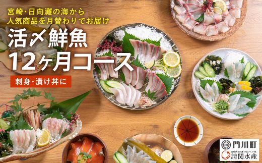 【北海道・離島配送不可】＜定期便・全12回(連続)＞旬の鮮魚(12ヶ月コース)お刺身 お刺し身 魚介 海鮮 漬け丼 ブリ ぶり ヒラメ 真鯛 シマアジ カンパチ マグロ まぐろ サーモン ヒラメ ハマチ お楽しみ コンシェルジュ【UZ-09】【請関水産】