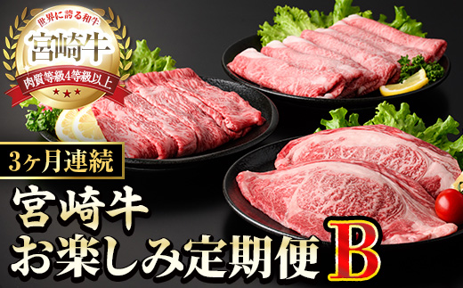 【定期便・全3回(連続)】宮崎牛お楽しみ定期便B すき焼き お肉 牛肉 黒毛和牛 宮崎牛 ブランド和牛 冷凍 国産 肩 ウデ モモ 赤身 スライス 宮崎県産 しゃぶしゃぶ 【YM-19】【YAMATO株式会社】