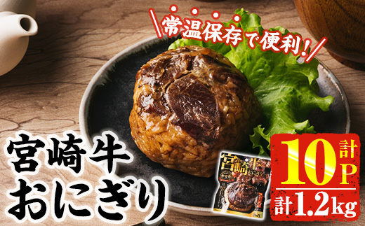 ＜2週間以内発送！＞ 宮崎牛 おにぎり (計1.2kg・120g×10P) 牛肉 ブランド牛 お弁当 レンジアップ 小分け 湯煎 個包装 おつまみ レトルト 常温 保存 ご当地 簡単調理【AP-79】【株式会社 日向屋】