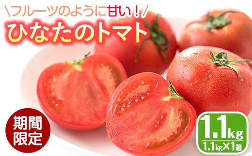 ＜先行予約受付中！2026年2月から順次発送予定＞ひなたのとまと(1.1kg)トマト フルーツトマト 糖度 9度 以上 野菜 旬野菜 冷蔵 国産 宮崎県産【A-4】【新門トマト農園】