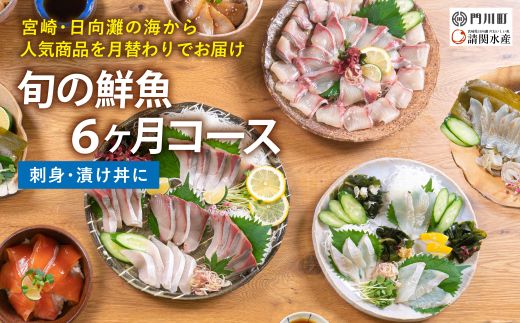 【北海道・離島配送不可】＜定期便・全6回(連続)＞旬の鮮魚(6ヶ月コース)お刺身 お刺し身 魚介 海鮮 漬け丼 ブリ ぶり ヒラメ 真鯛 シマアジ カンパチ お楽しみ【UZ-10】【請関水産】