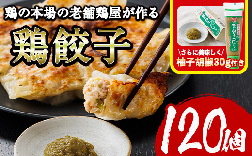 鶏の本場の老舗鶏屋が作る味鶏の餃子セット (計120個・1Pあたり12個入・柚子胡椒30g付き！) 鶏餃子 餃子 鶏肉 ぎょうざ おかず お惣菜 おつまみ 冷凍【V-72】【味鶏フーズ】
