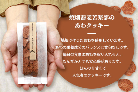 宮崎県 椎葉村の焼畑農家がつくった あわクッキー【手づくりの焼菓子】［送料無料 宮崎県 椎葉村 椎葉 日本三大秘境 秘境 焼畑 やきはた くっきー クッキー 粟 あわ 粟クッキー おやつ おかし 菓子 お菓子 焼き菓子 無添加 手作り 自然 ギフト お土産］【YS-31】
