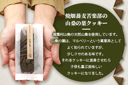 椎葉村の焼畑農家がつくった 山桑の葉クッキー【手づくりの焼菓子】［送料無料 宮崎県 椎葉村 椎葉 日本三大秘境 秘境 焼畑 やきはた くっきー クッキー 山桑 山桑の葉 山桑の葉クッキー おやつ おかし 菓子 お菓子 焼き菓子 無添加 手作り 自然 ギフト お土産］【YS-35】