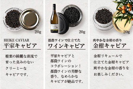 【世界三大珍味×日本三大秘境】HEIKE CAVIAR  3種食べ比べセット20g×3【産地直送】【簡易包装】［宮崎 椎葉 国産 きゃびあ キャビア ワイン ワインキャビア 金柑 金柑キャビア 魚卵 卵 世界三大珍味 加工品 冷凍 高級 高級品 贅沢 お取り寄せ お取り寄せグルメ  ディナー パーティー おつまみ グルメ ギフト 誕生日 プレゼント お祝い 贈り物 桐箱 希少］【SZ-131】