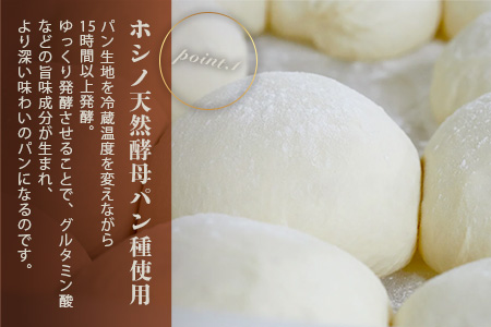 《3ヶ月定期便》【秘境・椎葉村の愛されパン屋さん】天然酵母パン 詰め合わせ 7種10個セット 【送料無料 パン 冷凍 お取り寄せ 3ヶ月 定期便 天然 酵母 詰め合せ セット 低温 長時間熟成 メロンパン あん塩 バターロール おさつ ブレッド デニッシュ ミニ食パン レーズン バターロール マヨ 朝食 手土産 手作り】【NF-27】