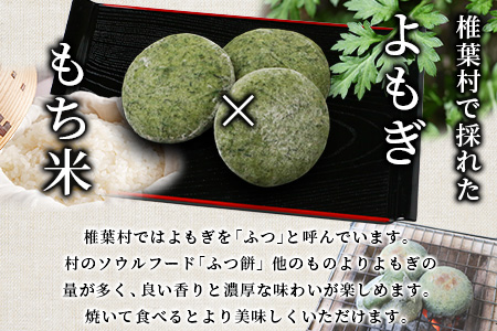 焼畑農家がつくった よもぎもち 10個【日本三大秘境の地「椎葉村」からお届け】送料無料 宮崎県 宮崎 椎葉村 椎葉 餅 よもぎ餅 蓬餅 ヨモギ餅 蓬もち よもぎもち もち モチ  セット 野草 焼き餅 焼餅 正月 お祝い 祝い 美味しい うまい やきもち もち米 焼きもち ヨモギ 蓬 餅【YS-44】
