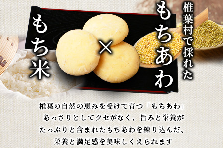 焼畑農家がつくった あわもち 10個【日本三大秘境の地「椎葉村」からお届け】送料無料 宮崎県 宮崎 椎葉村 椎葉 餅 あわ 粟 あわもち あわ餅 粟もち 粟餅 雑穀 もち モチ セット 焼き餅 焼餅 正月 お祝い 祝い 美味しい うまい やきもち もち米 焼きもち【YS-47】