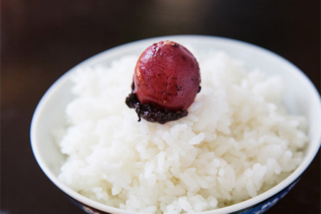 【昔ながらの伝統の味 】宮崎県椎葉村産 南高梅使用 梅干し「姫伝説」230g×6袋【合計1.38kg】