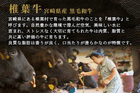 宮崎県産 椎葉牛 赤身の角切りコロコロステーキ 500g A5等級指定 ［宮崎 椎葉 国産 国産牛 黒毛和牛 和牛 牛 牛肉 赤身 肉 お肉 a5 A5 ステーキ 焼肉 カレー シチュー 冷凍 ギフト］【TK-80】