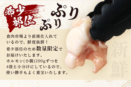 宮崎県産 椎葉牛 ぷりぷりホルモン（小腸）もつ鍋・焼肉用 200g×4P（800g）［宮崎 椎葉 国産 国産牛 もつ鍋 焼肉  バーベキュー 冷凍 ギフト］【TK-82】