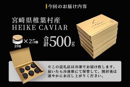 【世界三大珍味×日本三大秘境】HEIKE CAVIAR  500g  【20g×25個】【産地直送】［宮崎 椎葉 国産 ちょうざめ チョウザメ きゃびあ キャビア 500g 魚卵 卵 クリーミー お酒 魚介 珍味 加工品 冷凍 高級 贅沢 お取り寄せ お取り寄せグルメ ディナー パーティー おつまみ グルメ お祝い ギフト 記念日 誕生日 プレゼント 贈り物 贈答 桐箱 希少］【SZ-126】