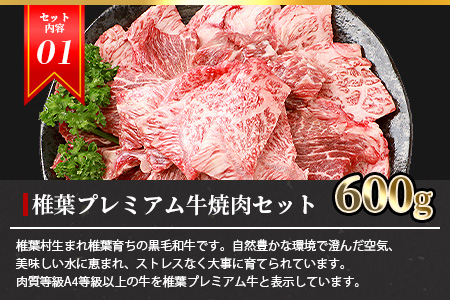  総重量2.1kg 【 3種の 牛肉 】焼肉食べ比べセット ≪ 椎葉牛 椎葉プレミアム牛 宮崎県産和牛 ≫［宮崎県 椎葉村 国産牛 黒毛和牛 和牛 牛 牛肉 赤身 肉 お肉 焼肉 バーベキュー 冷凍］【TK-52】