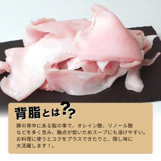 宮崎県産 THE HOUBOQ 旨味たっぷり 業務用 豚背脂 4Kg［送料無料 宮崎県 椎葉村 国産 国産豚 ぶた 豚 ポーク 豚肉 にく おにく 肉 お肉 背脂 ラーメン チャーハン 隠し味 料理好き おすすめ 油 あぶら 脂 トッピング 日本三大秘境］【HB-107】