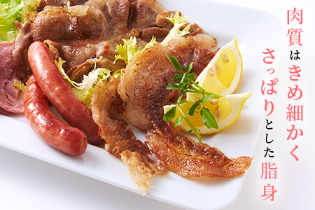 宮崎県産 THE HOUBOQ 増田さんちの豚肉 人気部位詰め合わせセット 2Kg ［宮崎県 椎葉村 国産 国産豚 ぶた 豚 ポーク 豚肉 にく おにく 肉 お肉 ロース ロースカツ バラスライス こま切れ ミンチ 冷凍 料理 日本三大秘境 ］【HB-10 】