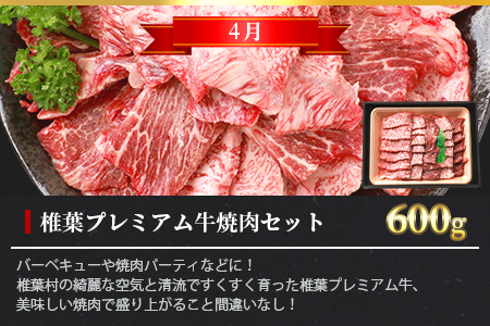 【定期便3回】総重量1.8kg 椎葉プレミアム牛 大自然の中で味わうBBQ定期便［宮崎県 椎葉村 国産 国産牛 黒毛和牛 和牛 牛 牛肉 赤身 肉 お肉 ステーキ バーベキュー 焼肉 冷凍］【TK-60】