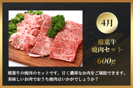 【定期便4回】総重量2.4kg！椎葉牛 大自然の中で味わう焼肉・BBQ定期便≪焼き肉・ステーキ・切り落とし・ローストビーフ≫【A5等級指定 黒毛和牛】A5ランク a5 A5【日本三大秘境 椎葉村 育ちの黒毛和牛】