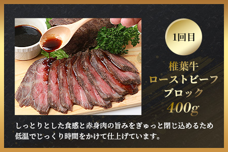【定期便2回】総重量1kg 椎葉牛 ローストビーフとステーキの定期便 A5等級指定 ［宮崎県 椎葉村 国産 国産牛 黒毛和牛 和牛 牛 牛肉 赤身 肉 お肉 a5 A5 サーロイン ブロック肉 焼肉 冷凍］【TK-64】