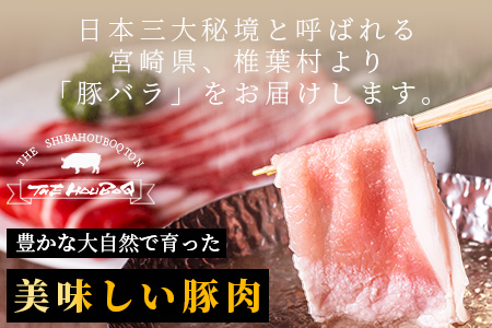 宮崎県産 THE HOUBOQ 至高の豚バラ 合計650g 安定の旨味[宮崎 椎葉村 豚肉 豚 肉 ぶた にく ぶたにく おにく お肉 豚バラ バラ ぶたバラ BBQ バーベキュー 美味い 日本三大秘境 美味しい ボリューミー 逸品 焼肉]【HB-113】