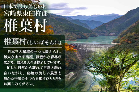 椎葉村共通宿泊割引券　10,000円分 [KK-52]