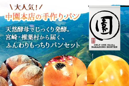 【秘境・椎葉村の愛されパン屋さん】 天然酵母パン 詰め合わせ 7種10個セット【送料無料 パン 冷凍 お取り寄せ 定期便 天然 酵母 詰め合せ セット 低温 長時間熟成 メロンパン あん塩 バターロール おさつ ブレッド デニッシュ ミニ食パン レーズン バターロール マヨ 朝食 手土産 手作り 保存食】【NF-26】