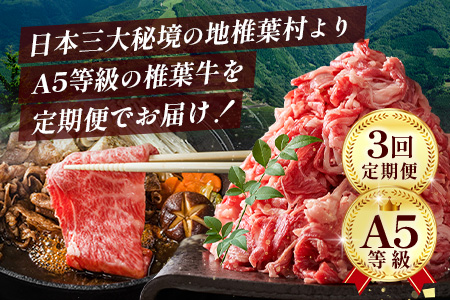 【定期便3回】総重量 1,900g 牛肉 椎葉牛の スライス肉 ＆ 切り落とし肉 お試し定期便 ３ヶ月 ３ヵ月 焼肉 焼き肉 すきやき すき焼き しゃぶしゃぶ TK-100