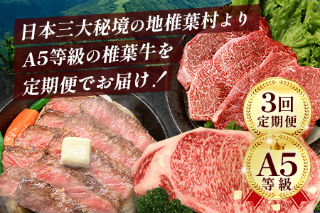 【 定期便 全3回 】 月に1回のお楽しみ！ 椎葉牛ステーキ定期便 総重量 1,080g 【 日本三大秘境 椎葉村 育ちの黒毛和牛 】[ 牛肉 ステーキ 定期便 定期配送 肉 牛ヒレ ヒレ肉 ロース サーロイン A5等級指定 黒毛和牛 ブランド牛 A5ランク おすすめ 送料無料 ] TK-102